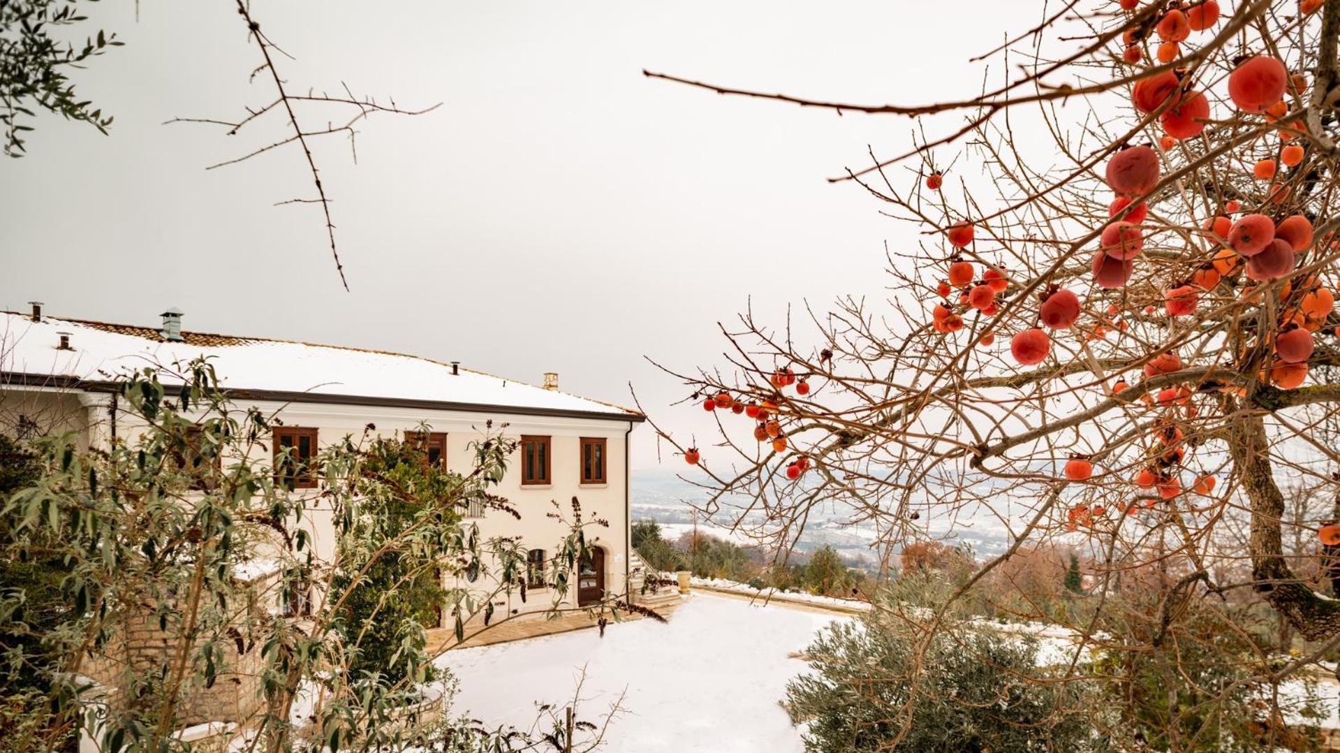 Il Mulino Della Signora Luxury Country House Frigento Kültér fotó